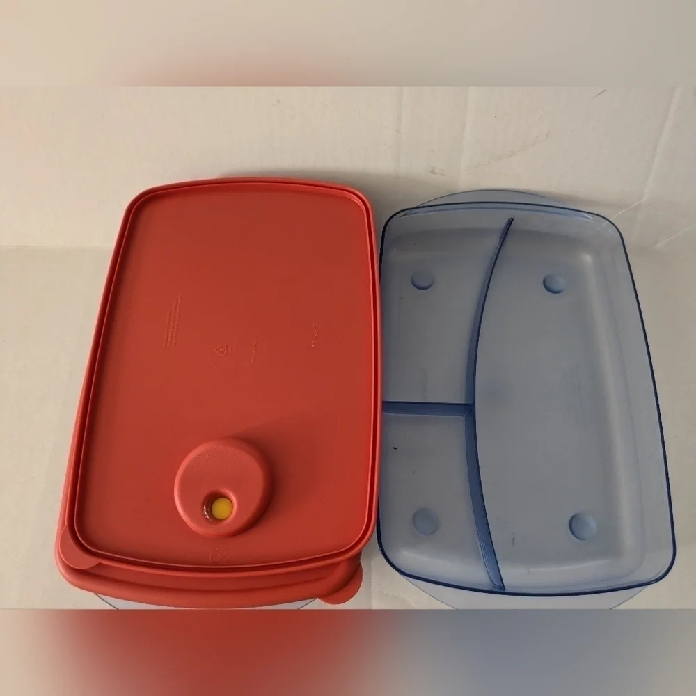 Tupperware rock N serve. Set of 2 divided containers